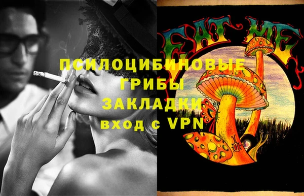 бошки Абаза