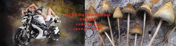 mix Алексин