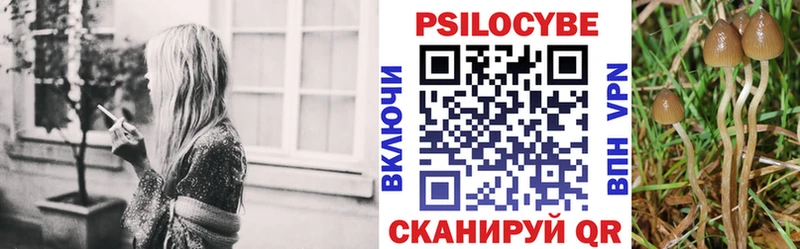 Псилоцибиновые грибы мухоморы  купить закладку  Зарайск 